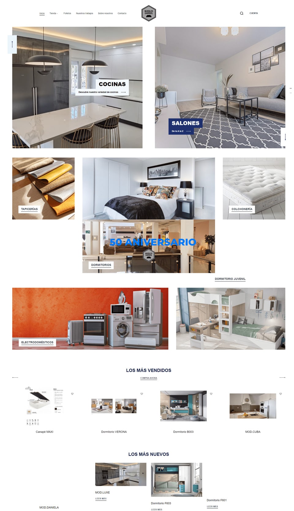 Captura del proyecto web Garisol